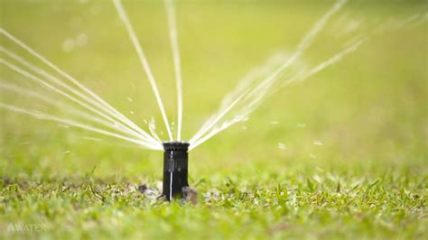 rotor sprinkler|Rotary Sprinklers